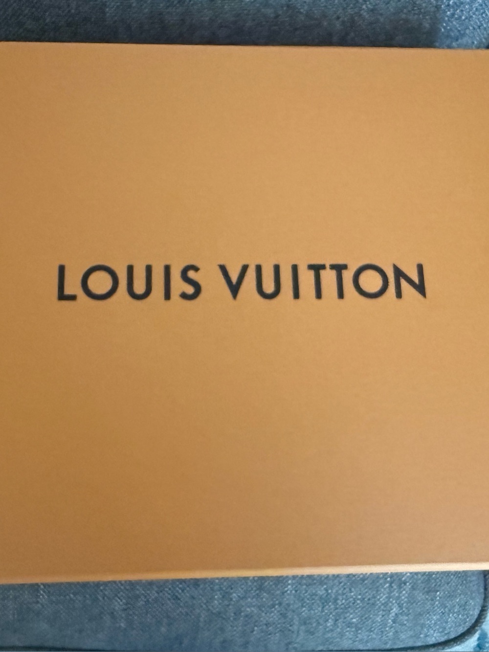 Louis Vuitton. Neverfull. new with tags.
